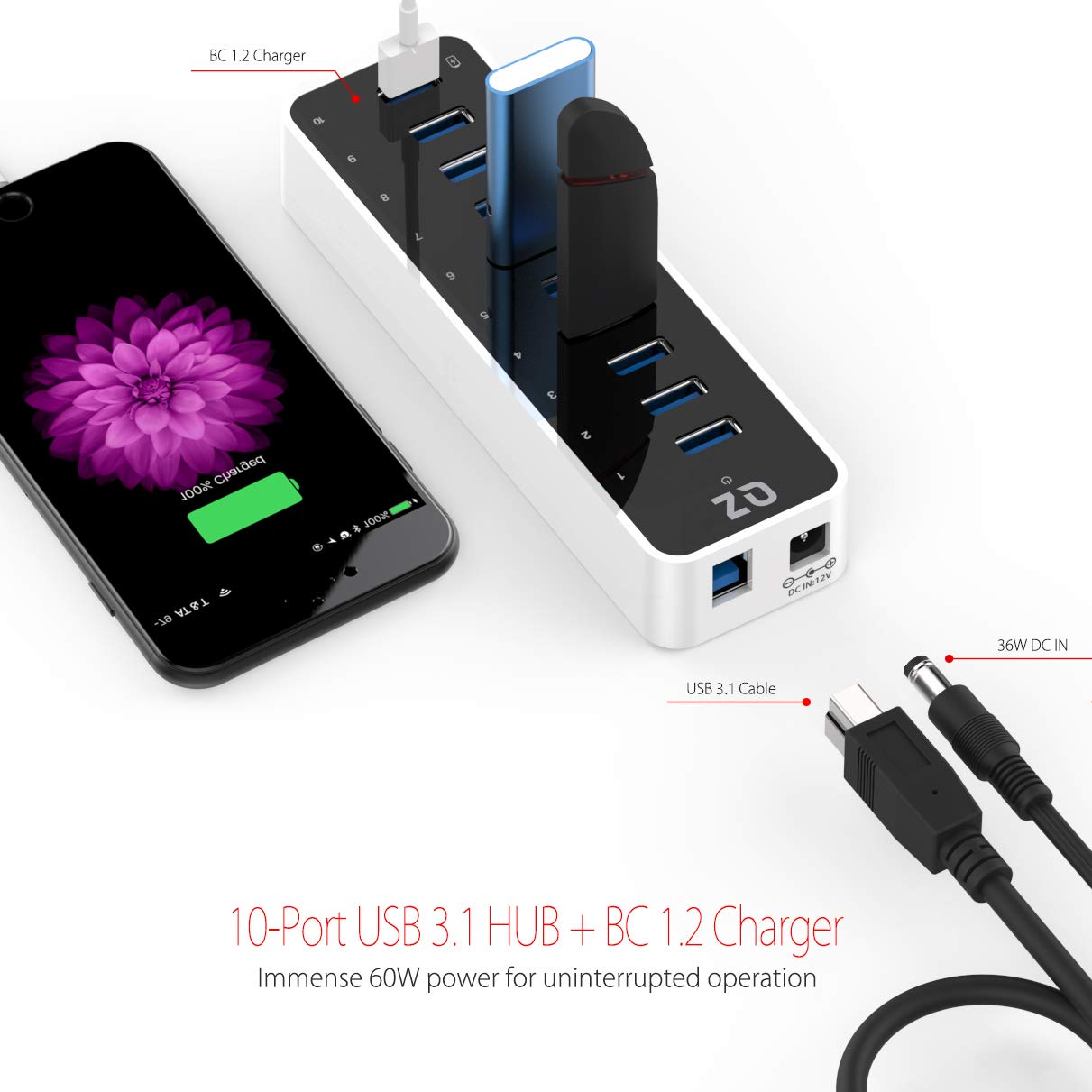 [10 Ports, 12V 5A 60W Power, Industrial Grade] QZ Active Powered USB Hub, 10 Port USB Hub with 12V 5A 60W Power Adapter, USB 3.1 Gen 1