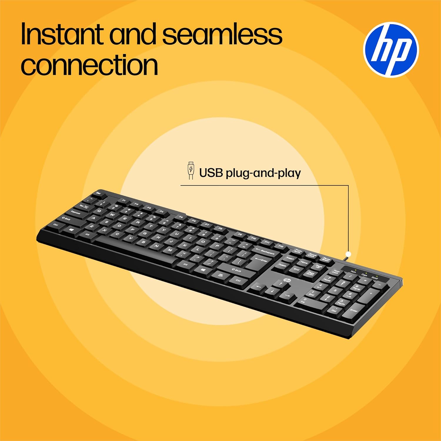 HP K120 Wired Keyboard/3 Years RTB Warranty